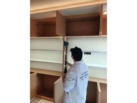 奉化曲毫茶书院