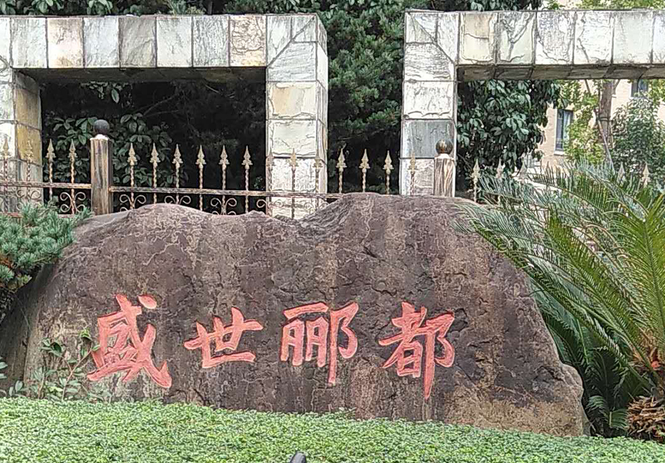 高桥盛世丽都检测治理